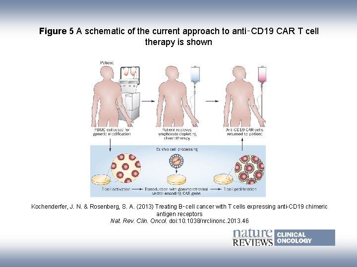 Figure 5 A schematic of the current approach to anti‑CD 19 CAR T cell