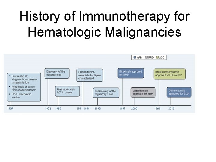 History of Immunotherapy for Hematologic Malignancies 