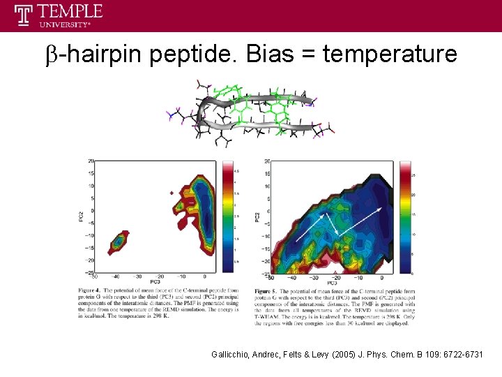 b-hairpin peptide. Bias = temperature Gallicchio, Andrec, Felts & Levy (2005) J. Phys. Chem.