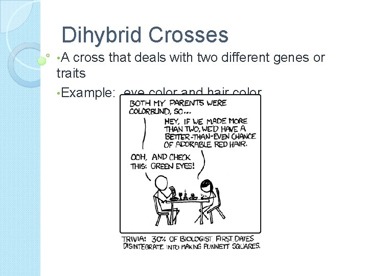 Dihybrid Crosses • A cross that deals with two different genes or traits •