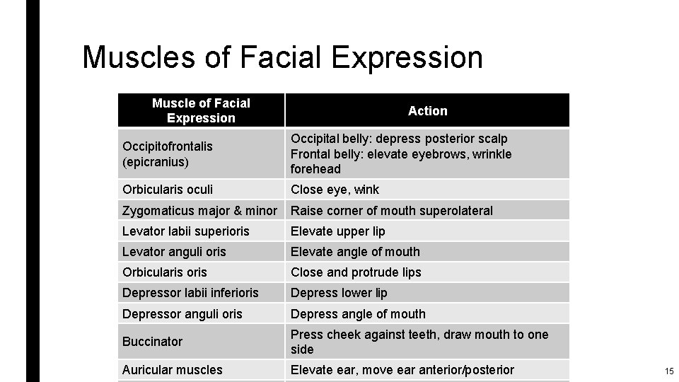 Muscles of Facial Expression Muscle of Facial Expression Action Occipitofrontalis (epicranius) Occipital belly: depress