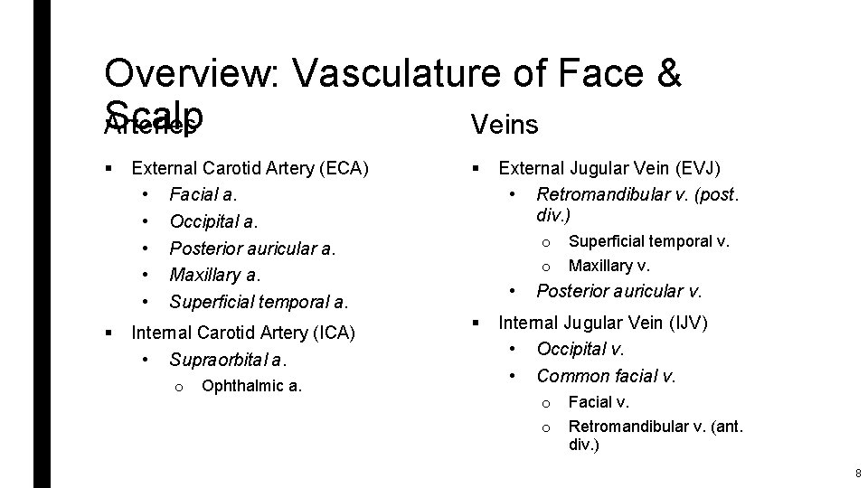Overview: Vasculature of Face & Scalp Arteries Veins § § External Carotid Artery (ECA)