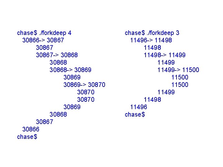 chase$. /forkdeep 4 30866 -> 30867 -> 30868 30868 -> 30869 30869 -> 30870