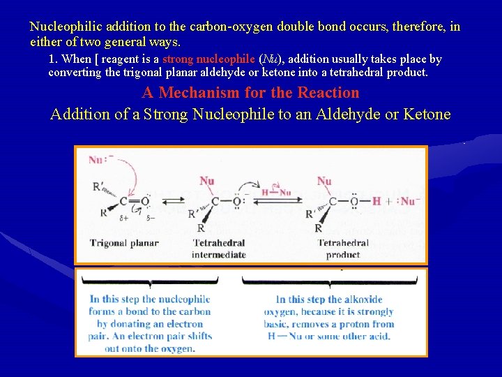 Nucleophilic addition to the carbon-oxygen double bond occurs, therefore, in either of two general