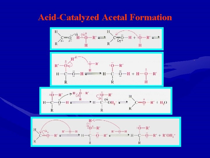 Acid-Catalyzed Acetal Formation 