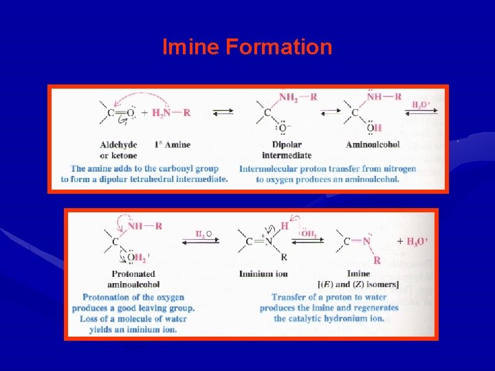 Imine Formation 