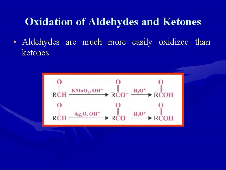 Oxidation of Aldehydes and Ketones • Aldehydes are much more easily oxidized than ketones.