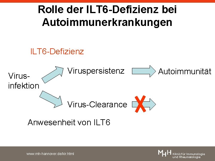 Rolle der ILT 6 -Defizienz bei Autoimmunerkrankungen ILT 6 -Defizienz Virusinfektion Viruspersistenz Autoimmunität Virus-Clearance