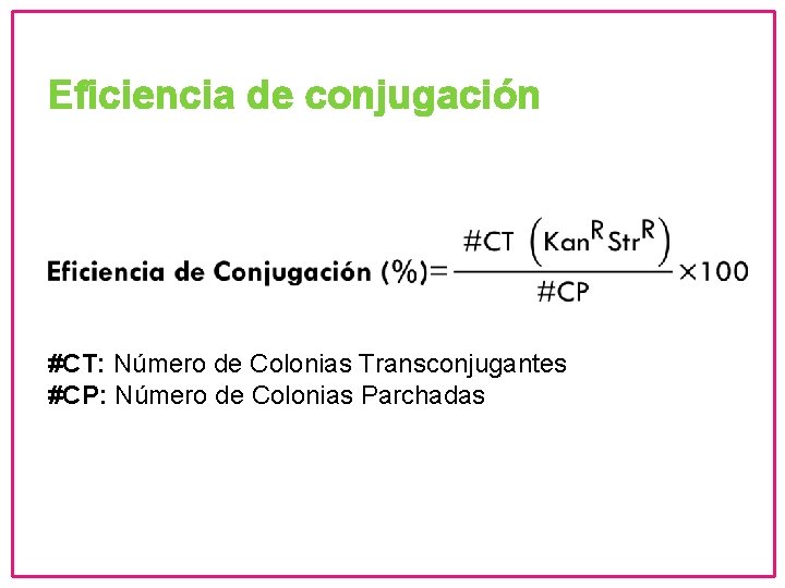 Eficiencia de conjugación #CT: Número de Colonias Transconjugantes #CP: Número de Colonias Parchadas 