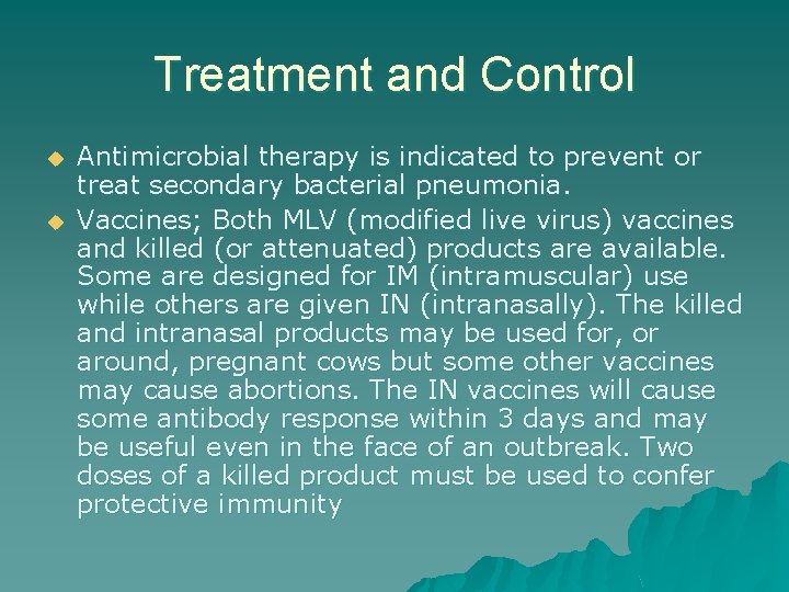 Treatment and Control u u Antimicrobial therapy is indicated to prevent or treat secondary