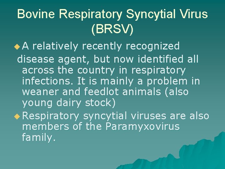 Bovine Respiratory Syncytial Virus (BRSV) u. A relatively recently recognized disease agent, but now