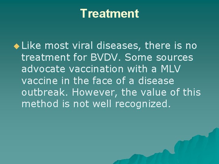 Treatment u Like most viral diseases, there is no treatment for BVDV. Some sources