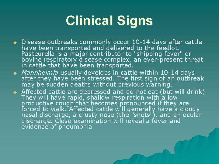 Clinical Signs u u u Disease outbreaks commonly occur 10 -14 days after cattle