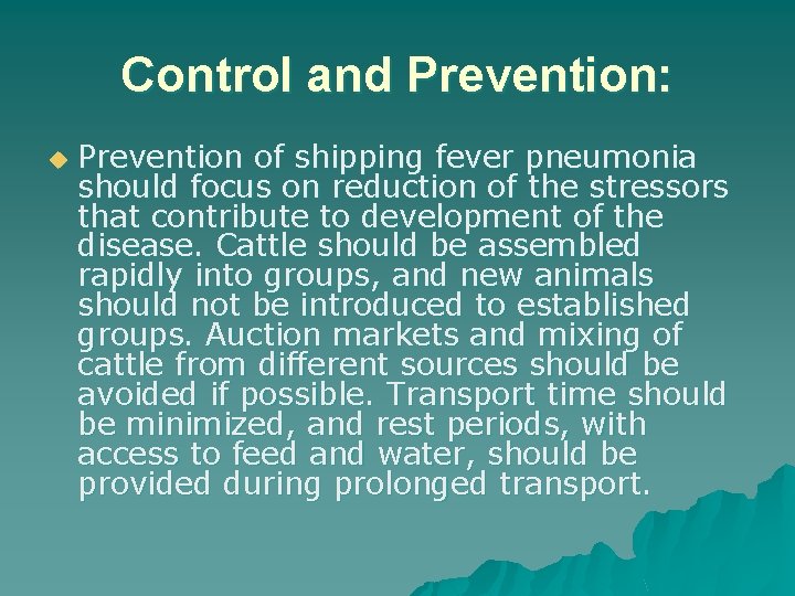 Control and Prevention: u Prevention of shipping fever pneumonia should focus on reduction of