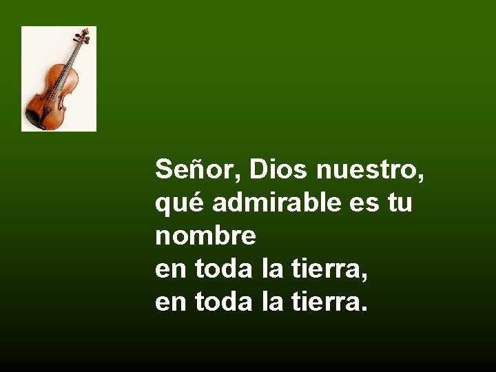 Señor, Dios nuestro, qué admirable es tu nombre en toda la tierra, en toda