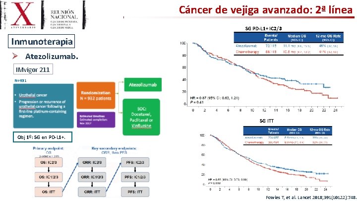 Cáncer de vejiga avanzado: 2ª línea SG PD-L 1+ IC 2/3 Inmunoterapia Ø Atezolizumab.