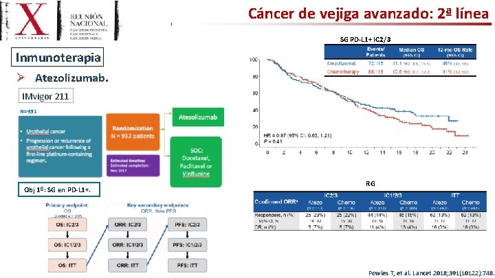 Cáncer de vejiga avanzado: 2ª línea SG PD-L 1+ IC 2/3 Inmunoterapia Ø Atezolizumab.