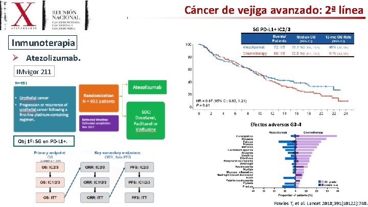 Cáncer de vejiga avanzado: 2ª línea SG PD-L 1+ IC 2/3 Inmunoterapia Ø Atezolizumab.