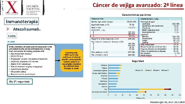 Cáncer de vejiga avanzado: 2ª línea Características pacientes Inmunoterapia Ø Atezolizumab. SAUL N=1004 Seguridad
