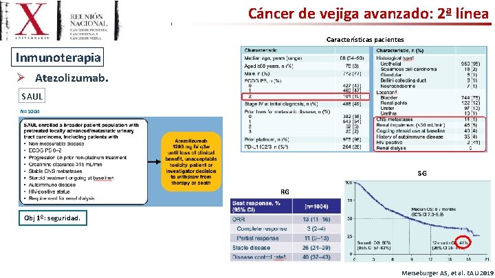 Cáncer de vejiga avanzado: 2ª línea Características pacientes Inmunoterapia Ø Atezolizumab. SAUL N=1004 SG