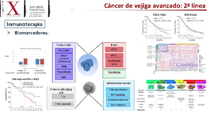Cáncer de vejiga avanzado: 2ª línea Inmunoterapia Ø Biomarcadores. 