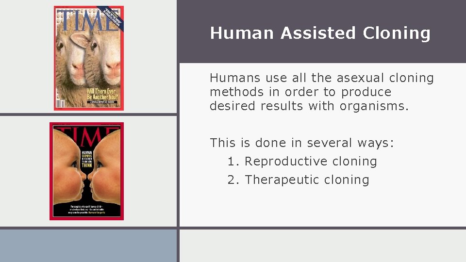 Human Assisted Cloning Humans use all the asexual cloning methods in order to produce