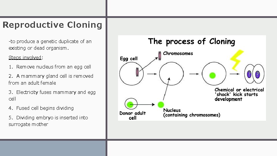 Reproductive Cloning -to produce a genetic duplicate of an existing or dead organism. Steps