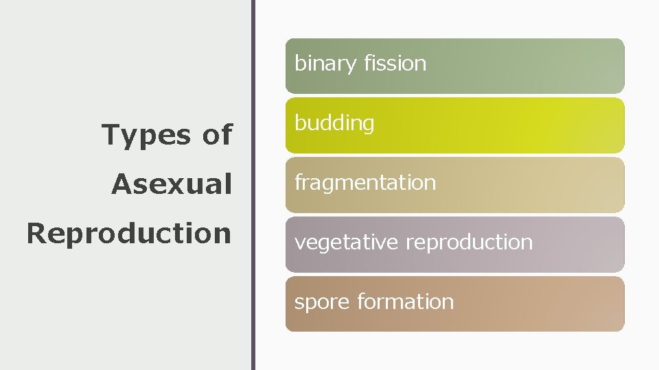 binary fission Types of Asexual Reproduction budding fragmentation vegetative reproduction spore formation 