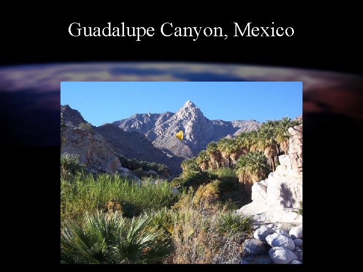 Guadalupe Canyon, Mexico 