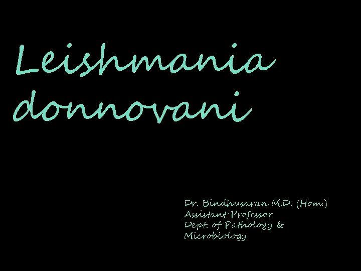 Leishmania donnovani Dr. Bindhusaran M. D. (Hom. ) Assistant Professor Dept. of Pathology &