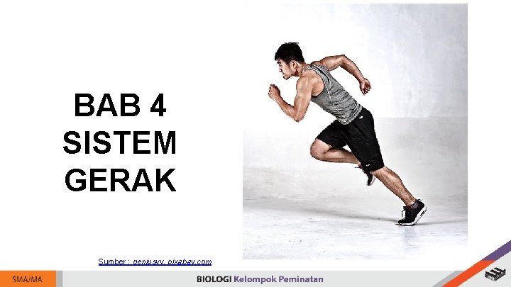 BAB 4 SISTEM GERAK Sumber : geniusvv, pixabay. com 