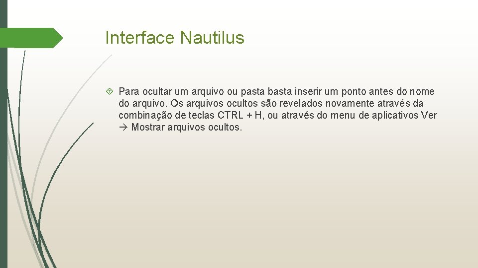 Interface Nautilus Para ocultar um arquivo ou pasta basta inserir um ponto antes do