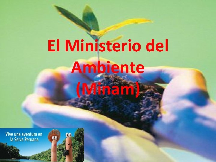 El Ministerio del Ambiente (Minam) 