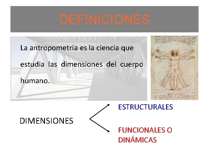 DEFINICIONES La antropometría es la ciencia que estudia las dimensiones del cuerpo humano. ESTRUCTURALES