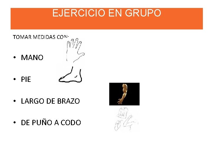 EJERCICIO EN GRUPO TOMAR MEDIDAS CON: • MANO • PIE • LARGO DE BRAZO
