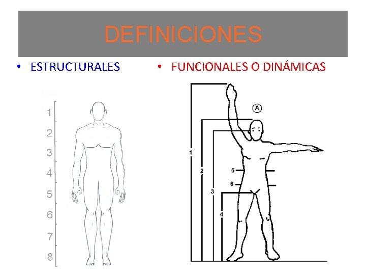 DEFINICIONES • ESTRUCTURALES • FUNCIONALES O DINÁMICAS 