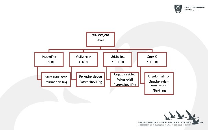 Møllevejens Skole Indskoling 1. -3. kl Folkeskoleloven Rammebevilling Mellemtrin 4. -6. kl Folkeskoleloven Rammebevilling