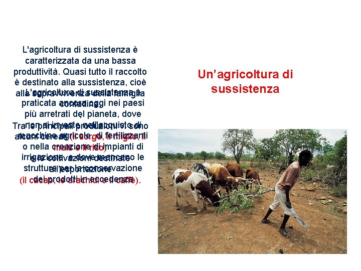 L'agricoltura di sussistenza è caratterizzata da una bassa produttività. Quasi tutto il raccolto è
