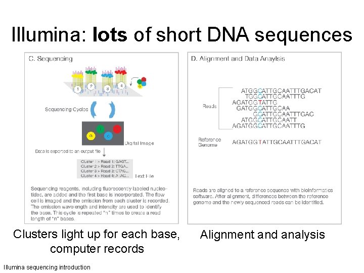 ngs next generation sequencing much