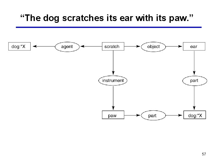 “The dog scratches its ear with its paw. ” 57 