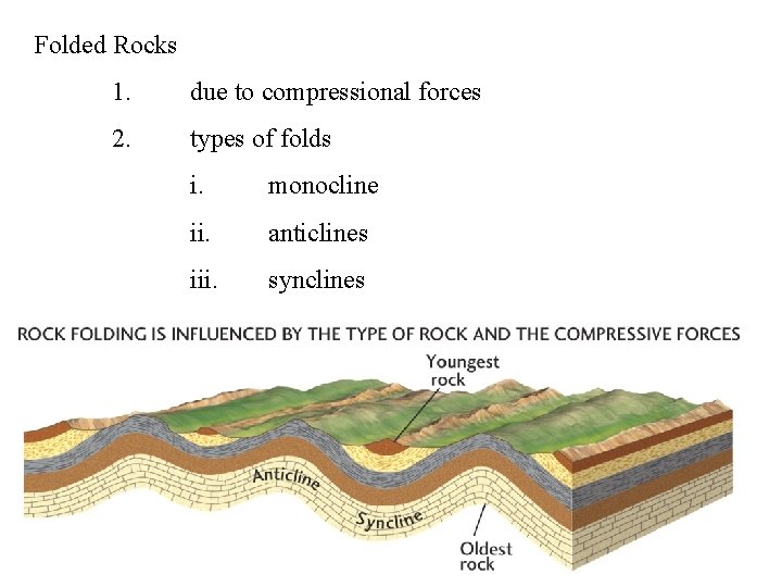 Folded Rocks 1. due to compressional forces 2. types of folds i. monocline ii.