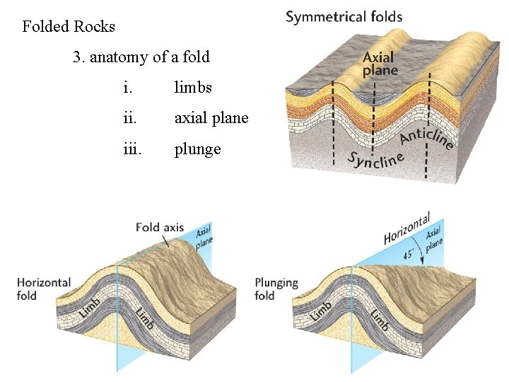 Folded Rocks 3. anatomy of a fold i. limbs ii. axial plane iii. plunge