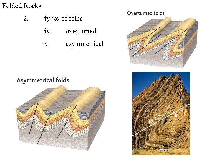 Folded Rocks 2. types of folds iv. overturned v. asymmetrical 