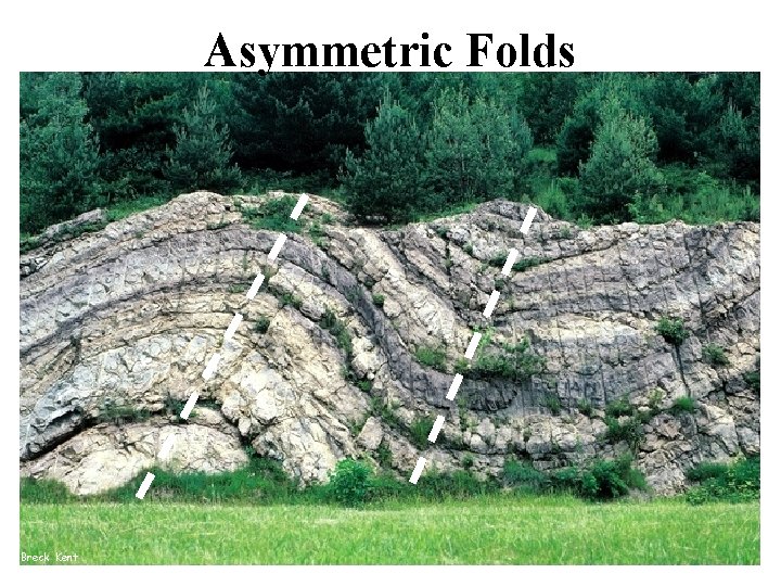 Asymmetric Folds Breck Kent 