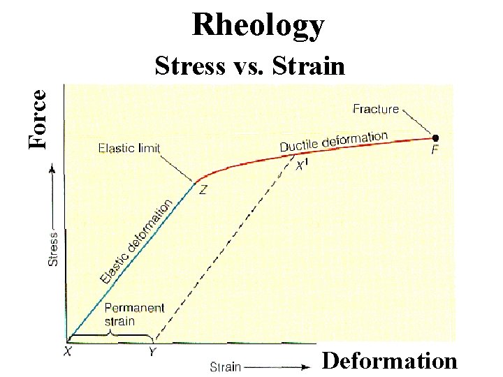 Rheology Force Stress vs. Strain Deformation 
