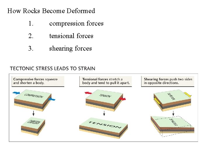 How Rocks Become Deformed 1. compression forces 2. tensional forces 3. shearing forces 