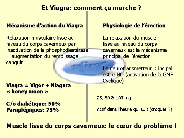 Et Viagra: comment ça marche ? Mécanisme d’action du Viagra Physiologie de l’érection Relaxation