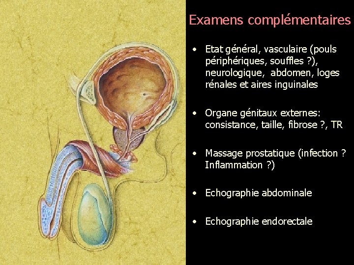 Examens complémentaires • Etat général, vasculaire (pouls périphériques, souffles ? ), neurologique, abdomen, loges
