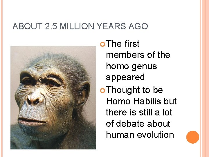 ABOUT 2. 5 MILLION YEARS AGO The first members of the homo genus appeared