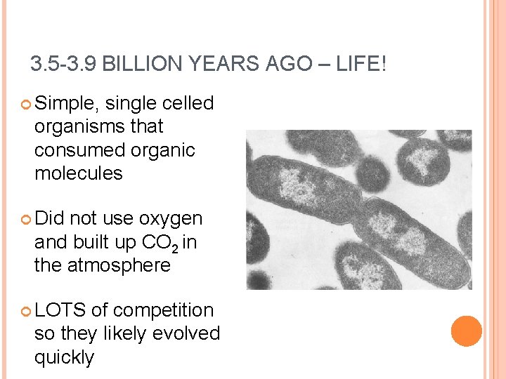 3. 5 -3. 9 BILLION YEARS AGO – LIFE! Simple, single celled organisms that